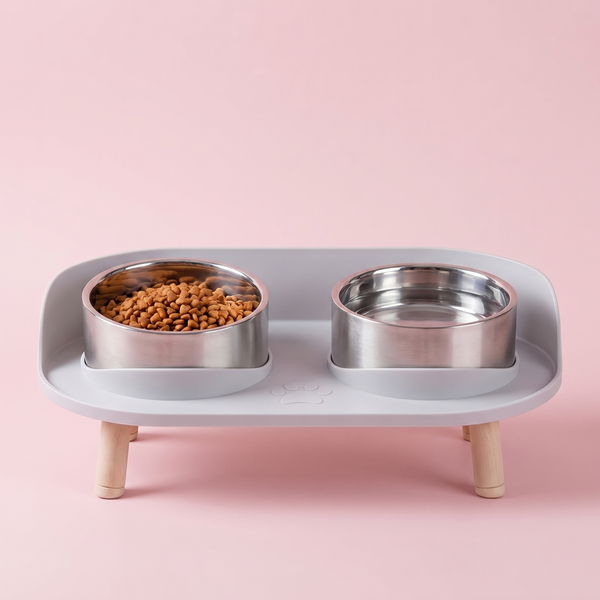 The Nourish Everyday Elevated Feeder