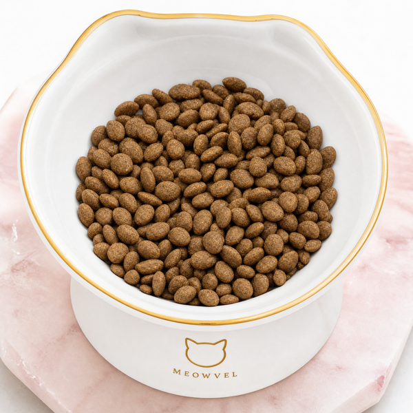 Feeding & Bowls