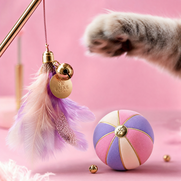Toys & Interactive