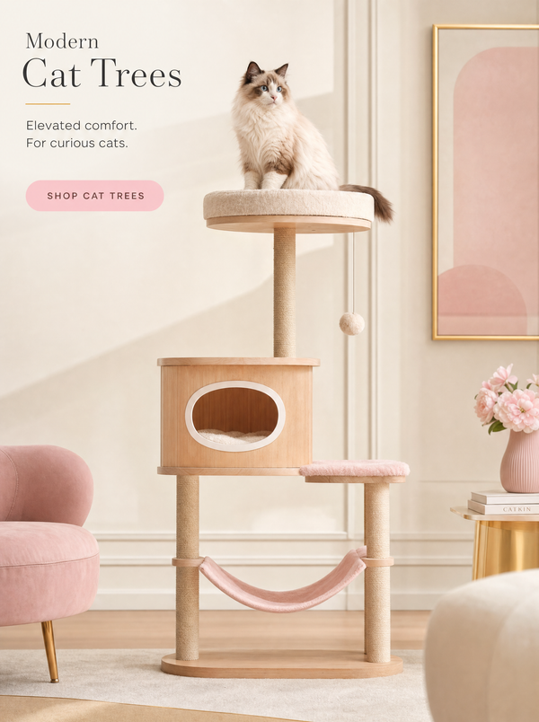 Cat Furniture & Climbing
