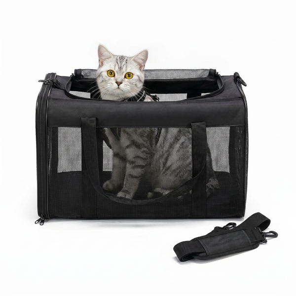 The Roam Carrier Airline Approved Bag