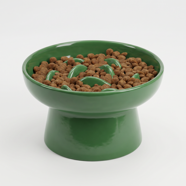 The Nourish Ceramic Anti-Vomit Bowl